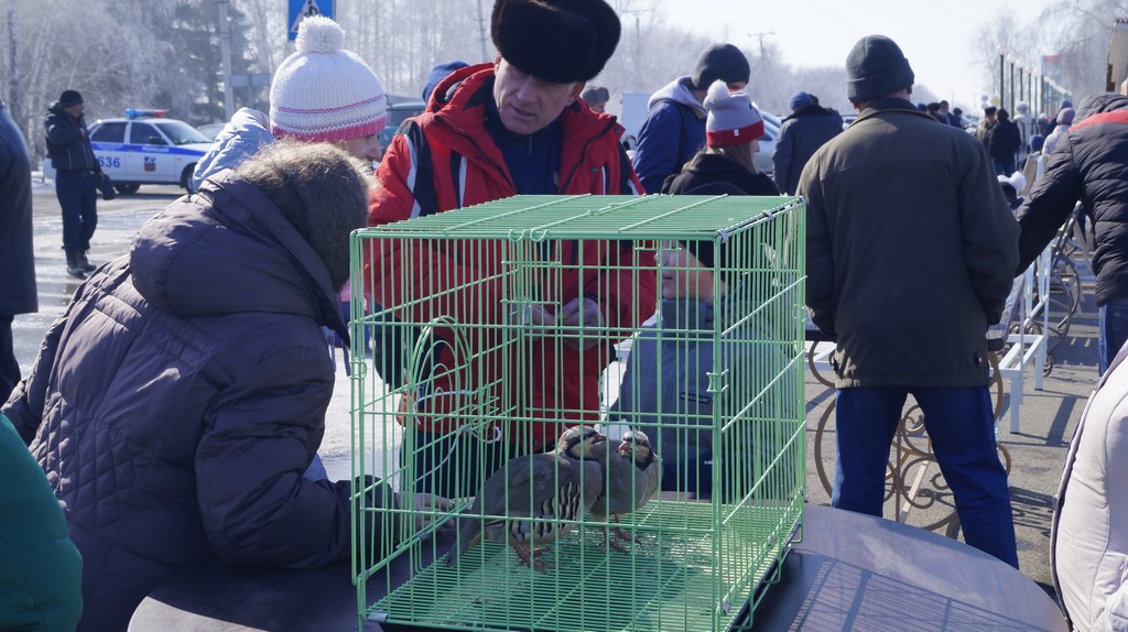 Проводы зимы